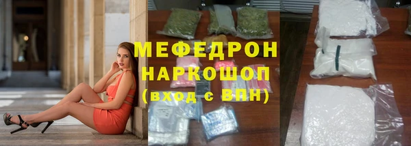 хмурый Аркадак