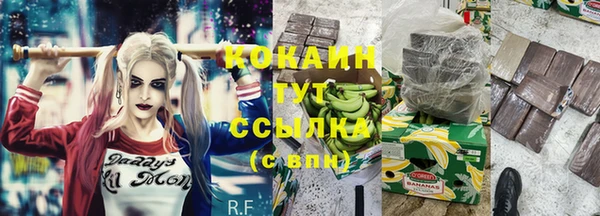 хмурый Аркадак