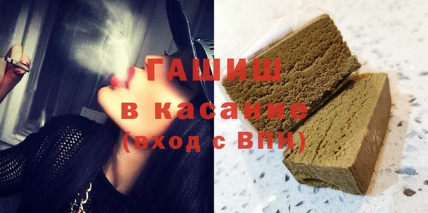 хмурый Аркадак