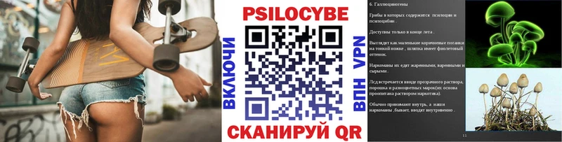 Псилоцибиновые грибы Psilocybine cubensis Радужный